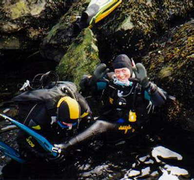 dryg330.jpg