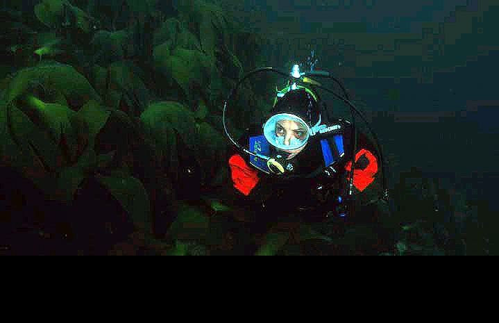 dryg337.jpg