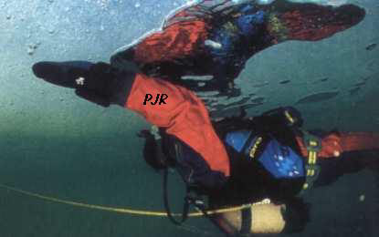dryg339.jpg