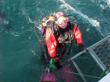 dryg348.jpg