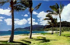 beachmakaha.jpg (19754 bytes)