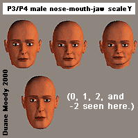 P4 Male lower face Y-scale