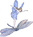 blue fairy
