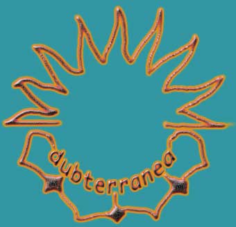 dubterranea - dub reggae music band