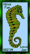 Seahorse