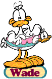Wade the Duck