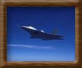 soaring raptor