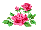 rose1.gif (1661 bytes)
