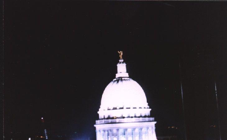 A view of the capitol
