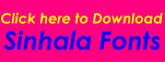 Fonts
