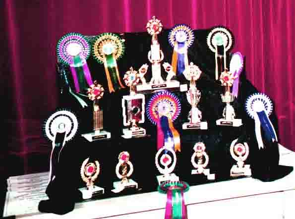 trophies.jpg (77523 bytes)