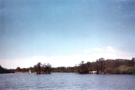 South Walsham Inner Broad. 1964