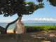 stevebythebeach_small.jpg