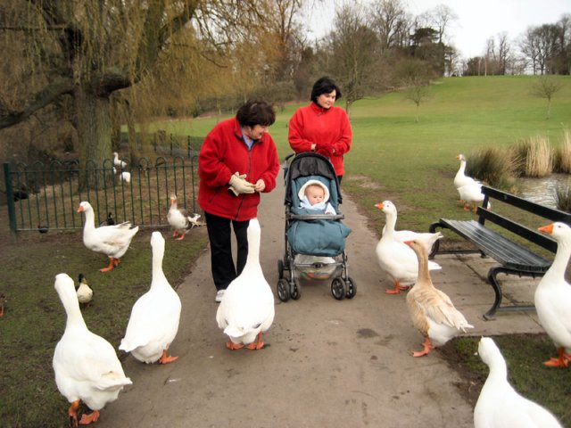 elmdon_park_25_2_08.jpg