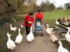elmdon_park_25_2_08_small.jpg