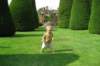 packwood_house_small.jpg