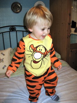 tigger_too.jpg