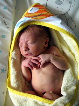 papoose8daysold.jpg