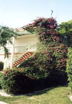 gardens_hotel_melia_cayo_coco