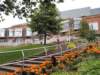 touchwoodfromjubileegardenshomerroadsolihull_small.jpg