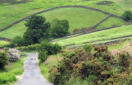 northyorkshiremoors.jpg