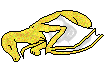 [ Glitz Yellow Lian Ziyazh as a hatchling; image © Ty of Ryslen ]