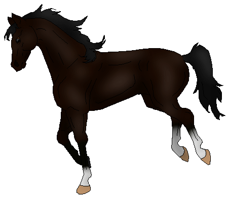 [Kael, Fairouz's dark bay horse, image © Yakima ]