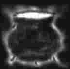 Cauldron..by me.. yeah I know, I'm not very good at this!