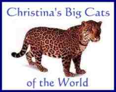 Christina's Big Cats of the World