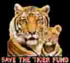 Save the Tiger Fund