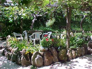 more shady places