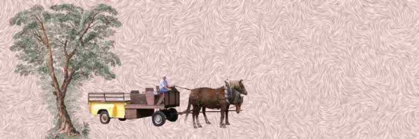 horseandbuggy