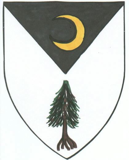 Aurthour's SCA device