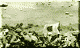Sumatra Island Campaign 1941-1942