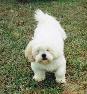 Annie