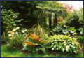 Garden.Clic for better view.