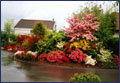 House & garden.Clic for better view.