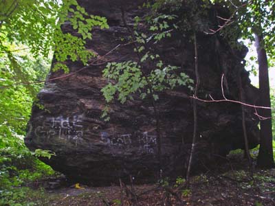 Naugatuck State Forest 