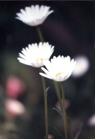 0101