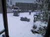 Rolling in the snow