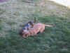 Playing