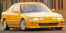 Yellow Jacket