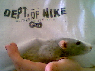 ~pronounced EE-moe~
