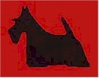 scottiedesign.jpg (5327 bytes)