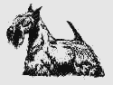 scottish__rabo.gif (2287 bytes)