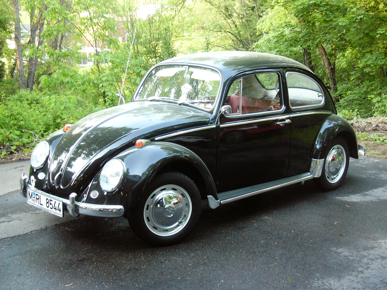 My '66