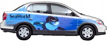 Auto graphic