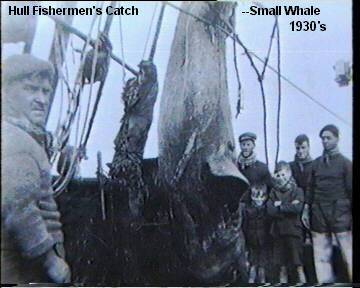 A Good Sized Catch