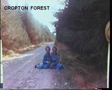 Cropton Forest