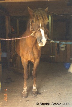 kuvaus